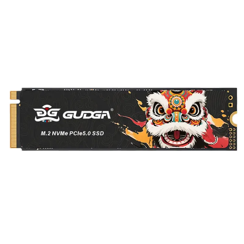 Didelės spartos NVME PICE 5.0 14500/10000 vidinis SSD