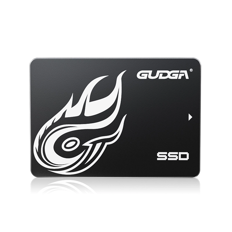 Didelės spartos SATA SSD